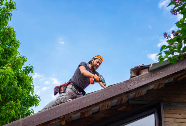  Geneseo, IL Roofing repair and installation Pros