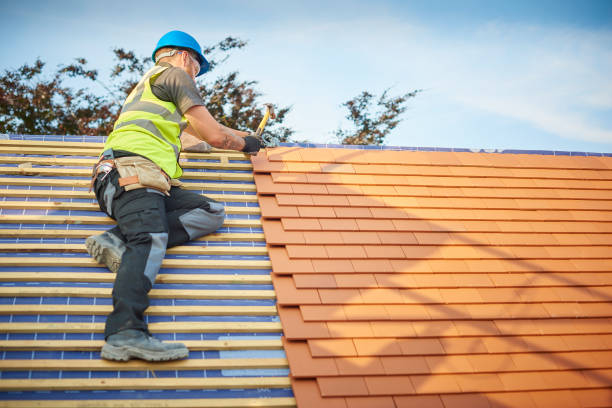 Best Roof Maintenance and Cleaning  in Geneseo, IL
